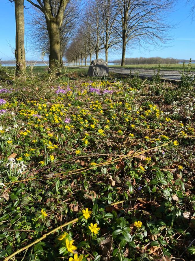 فيلا Vibaek Sønderborg المظهر الخارجي الصورة