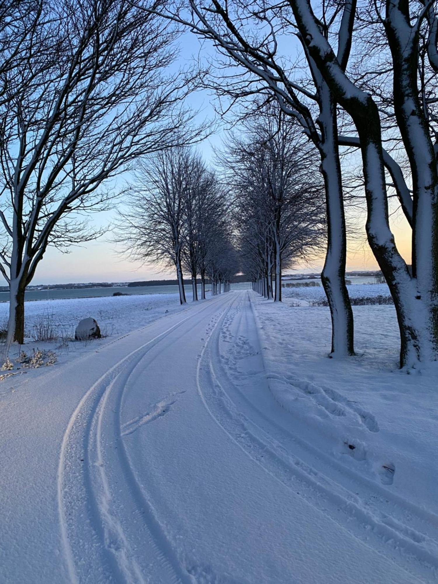فيلا Vibaek Sønderborg المظهر الخارجي الصورة