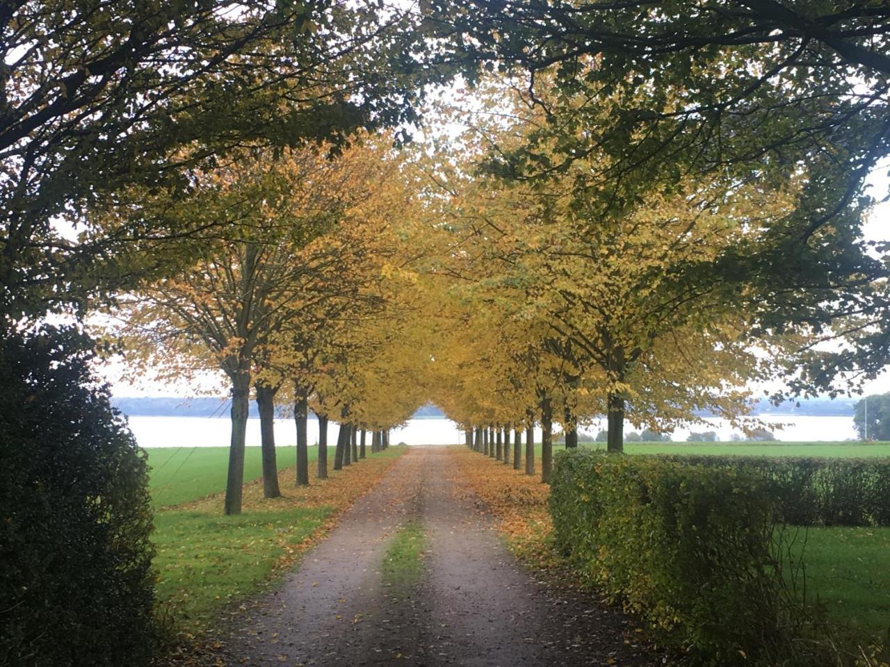 فيلا Vibaek Sønderborg المظهر الخارجي الصورة