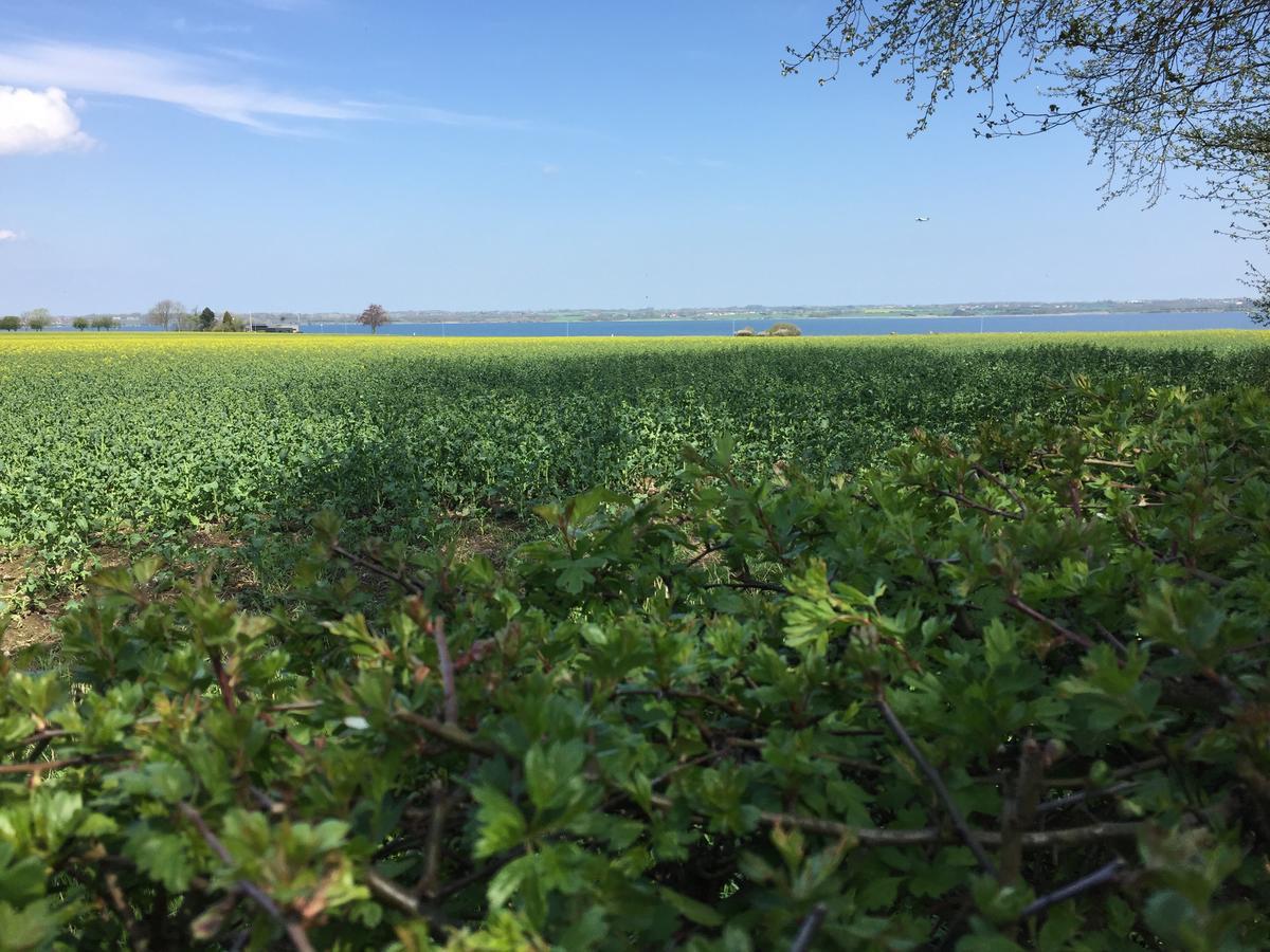 فيلا Vibaek Sønderborg المظهر الخارجي الصورة