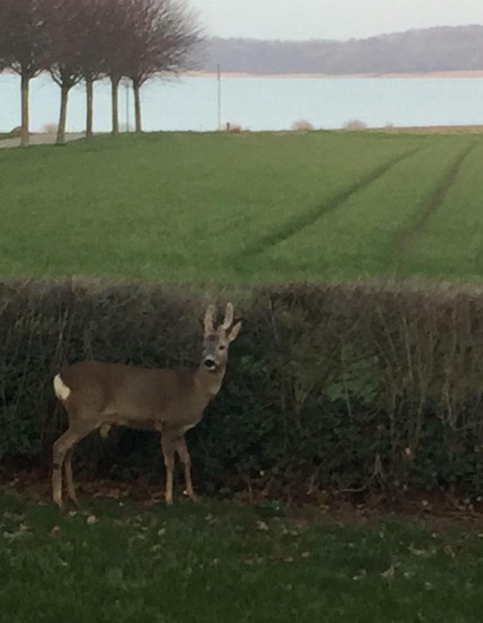 فيلا Vibaek Sønderborg المظهر الخارجي الصورة