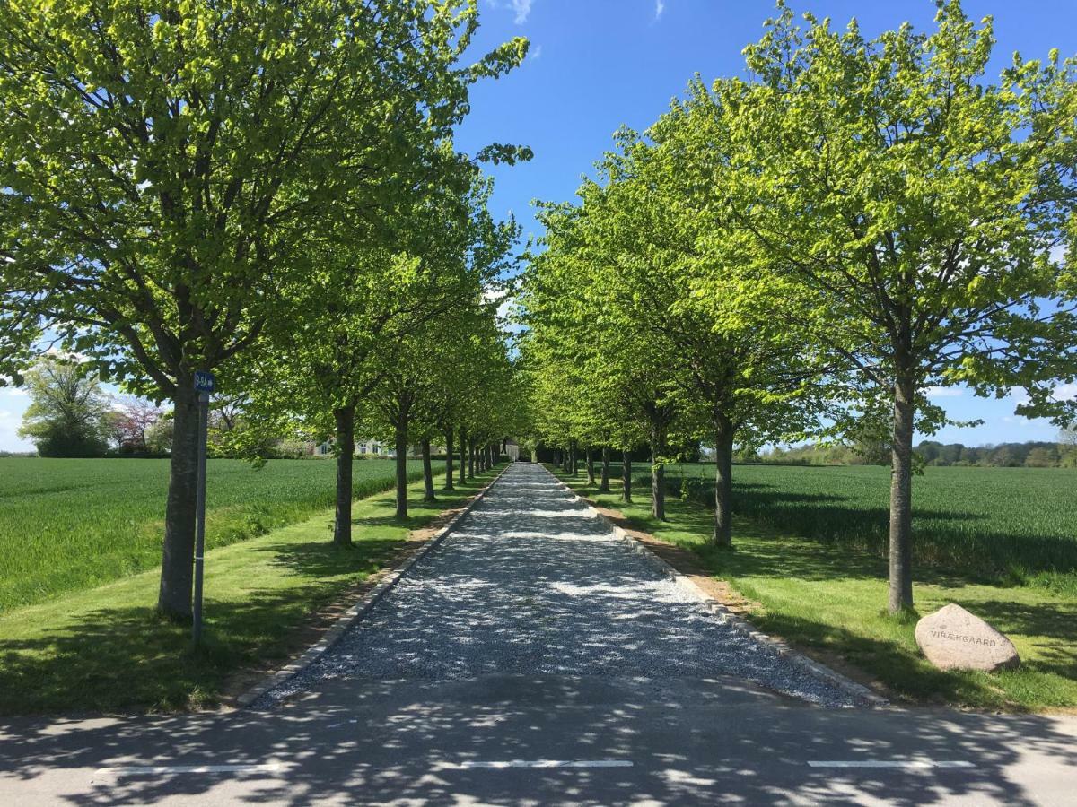 فيلا Vibaek Sønderborg المظهر الخارجي الصورة